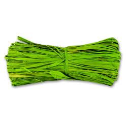 Raphia Naturel Pomme 50m – Idéal Créations | CHAPUIS

