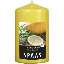 Bougie cylindre parfumée SPAAS
