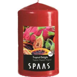 Bougie cylindre parfumée SPAAS