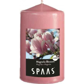 Bougie cylindre parfumée SPAAS