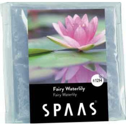 Pastille Wax Melts Nymphéa Féérique – Ambiance Florale | SPAAS
