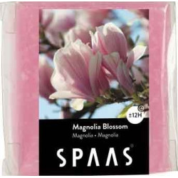 Pastille de cire fondante Magnolia – Ambiance Florale | SPAAS