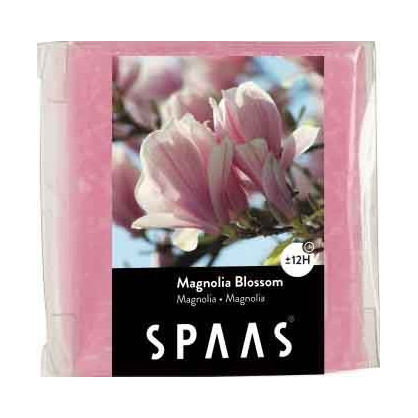 Pastille Wax Melts magnolia