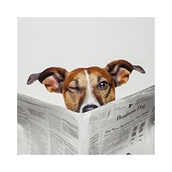 Abattant WC Business Dog MDF – Décor Original | ALLIBERT