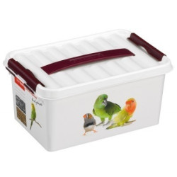 Box de rangement Q-line Pet Décor 6L – Organisez vos affaires | SUNWARE Box de rangement Q-line Pet Décor 6L – Organisez vos affaires | SUNWARE