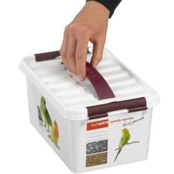 Box de rangement Q-line Pet Décor 6L – Organisez vos affaires | SUNWARE Box de rangement Q-line Pet Décor 6L – Organisez vos affaires | SUNWARE