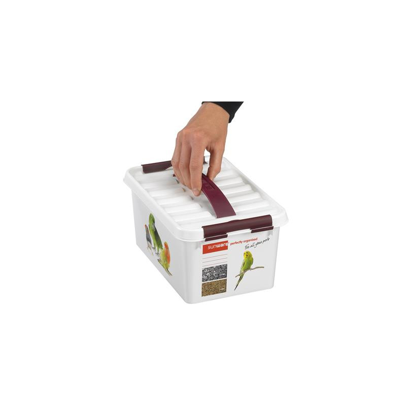 Box de rangement Q-line Pet Décor 6L – Organisez vos affaires | SUNWARE Box de rangement Q-line Pet Décor 6L – Organisez vos affaires | SUNWARE