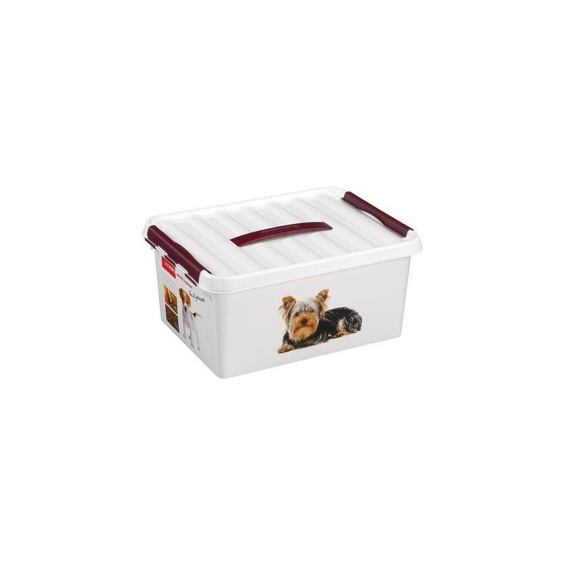 Box de rangement Q-line Pet Décor 15L – Organisez avec style | SUNWARE
