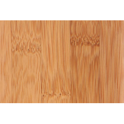 Porte-savon Hanoi ALLIBERT – Organisez votre salle de bain