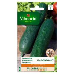 Semences Concombre Gynial F1 – Hybride Résistant | VILMORIN