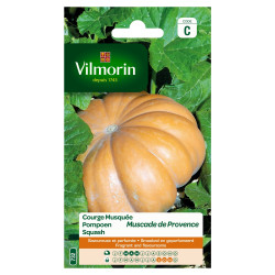 Semences Courge Musquée Muscade Provence – Jardinage Facile | VILMORIN