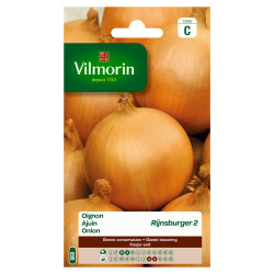 Semences d'oignon Rijnsburger 2 – Qualité | VILMORIN