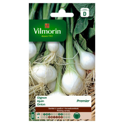 Semences Oignon Blanc Premier – Récolte Facile | VILMORIN