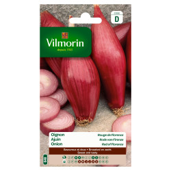 Semences Oignon Rouge Florence – Cultivez Facile | VILMORIN