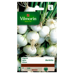 Semences Oignon Blanc Barletta – Facile à cultiver | VILMORIN