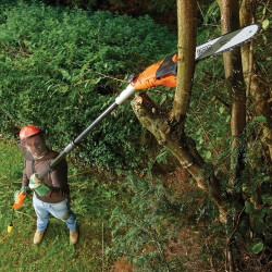 Élagueur télescopique BLACK+DECKER – Taille facile | BLACK+DECKER
 Élagueur télescopique BLACK+DECKER – Taille facile | BLACK+DECKER