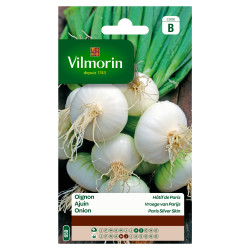 Semences Oignon Blanc Hâtif de Paris – Récolte Rapide | VILMORIN