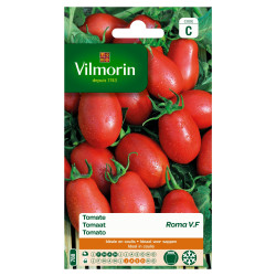 Semences Tomate Roma V.F – Cultivez vos tomates | VILMORIN