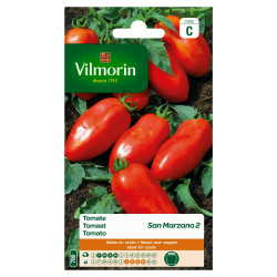 Semences Tomate San Marzano 2 – Saveur Italienne | VILMORIN