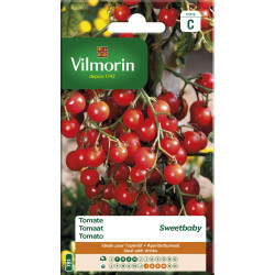 Semences Tomate Sweetbaby VILMORIN – Saveur Sucrée | VILMORIN