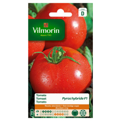 Semences Tomate Pyros Hybride F1 – Récolte Abondante | VILMORIN