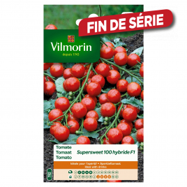 Semences de tomate Supersweet 100 hybride F1 VILMORIN