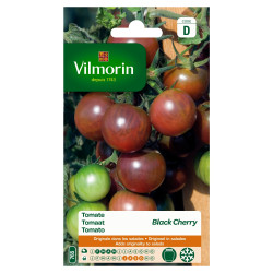 Semences Tomate Black Cherry VILMORIN – Saveur Unique | VILMORIN