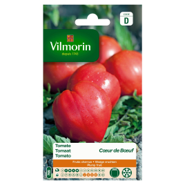 Semences de tomate Coeur de Boeuf VILMORIN