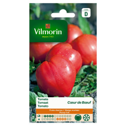 Semences Tomate Cœur de Bœuf – Saveur Authentique | VILMORIN