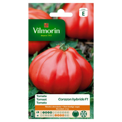 Semences Tomate Corazon Hybride F1 – Saveur & Rendement | VILMORIN