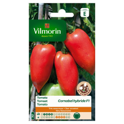 Semences Tomate Cornabel F1 – Hybride Productif | VILMORIN