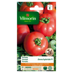 Semences Tomate Dona Hybride F1 – Saveur & Rendement | VILMORIN