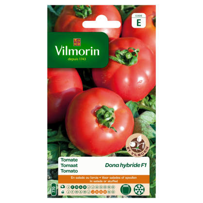 Semences de tomate Dona hybride F1 VILMORIN