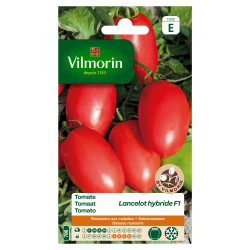 Semences Tomate Lancelot Hybride F1 – Jardinage Facile | VILMORIN