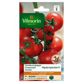 Semences de tomate Pépite hybride F1 VILMORIN