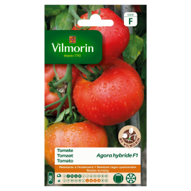 Semences de tomate Agora hybride F1 VILMORIN
