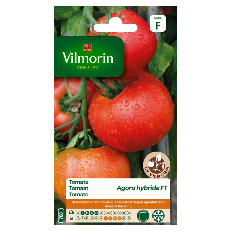 Semences de tomate Agora hybride F1 VILMORIN