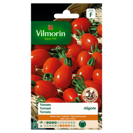 Semences de tomate Aligote VILMORIN