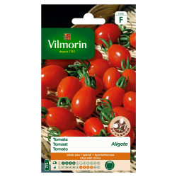 Semences Tomate Aligote VILMORIN – Saveur Authentique | VILMORIN