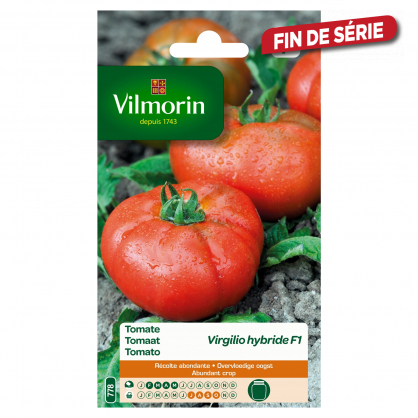 Semences de tomate Virgilio hybride F1 VILMORIN