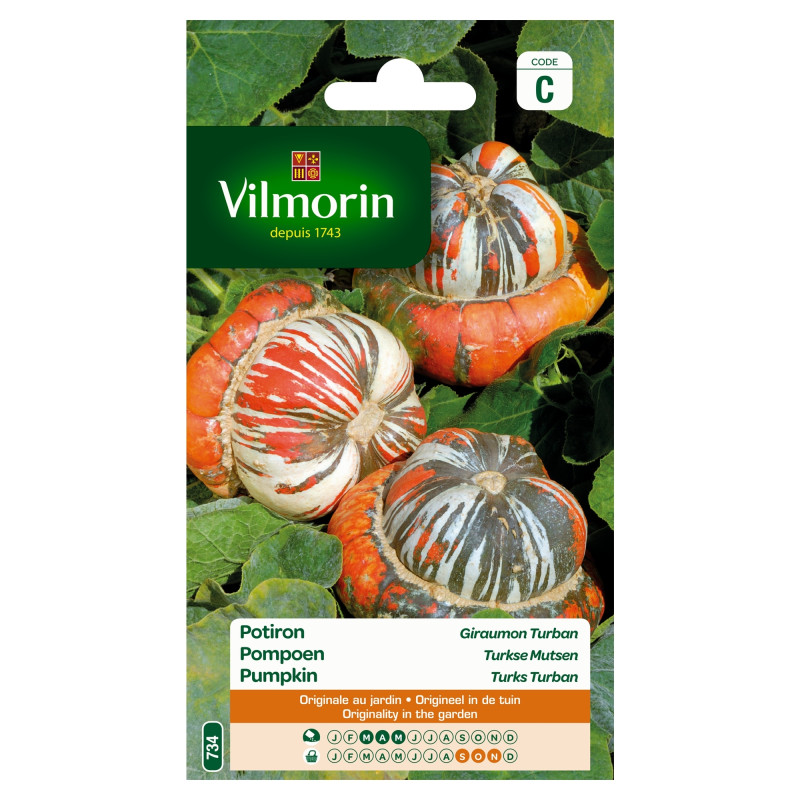 Semences de potiron Giraumon Turban VILMORIN