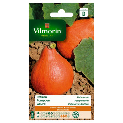Semences Potimarron VILMORIN – Cultivez Facile | VILMORIN
