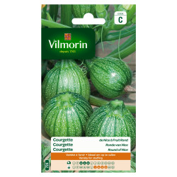 Semences Courgette Nice Rondes – Récolte Facile | VILMORIN