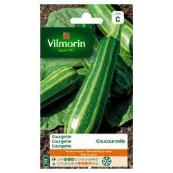 Semences Courgette Coucourzelle – Récolte Abondante | VILMORIN

