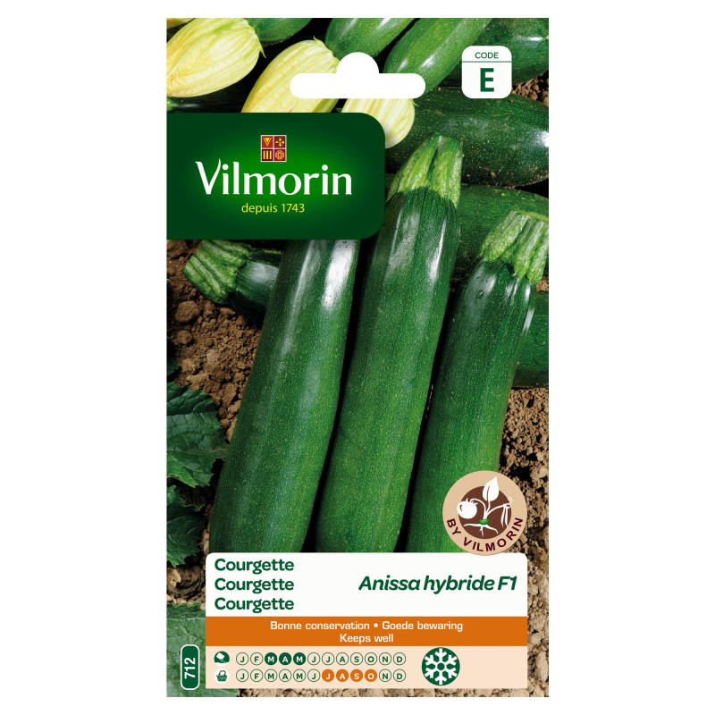 Semences de courgette Anissa hybride F1 VILMORIN