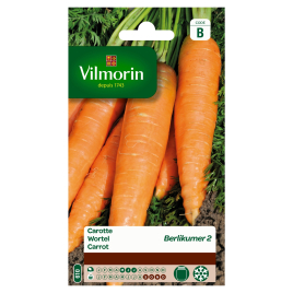 Semences de carotte Berlikumer 2 VILMORIN