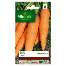 Semences Carotte Berlikumer 2 – Récolte Facile | VILMORIN