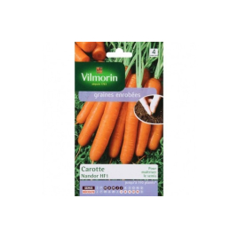 Semences de carotte Nandor enrobée VILMORIN