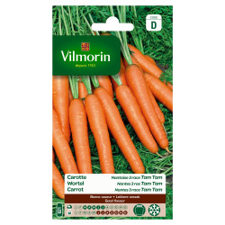 Carotte Nantaise Tam Tam – Récolte Facile | VILMORIN