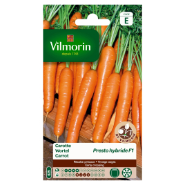 Semences de carotte Presto hybride F1 VILMORIN